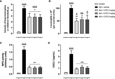 The effects of Phycocyanobilin on experimental arthritis involve the reduction in nociception and synovial neutrophil infiltration, inhibition of cytokine production, and modulation of the neuronal proteome